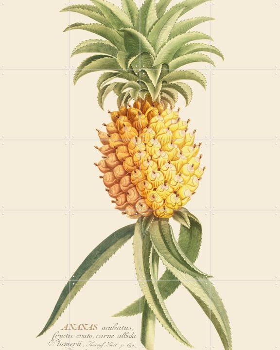 Ananas 2