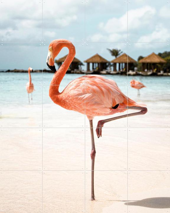 Flamingo Beach