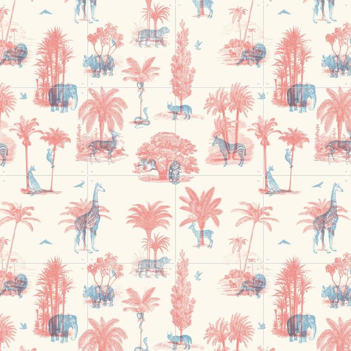 Where they belong Animals of the Savannah