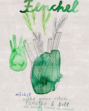 'Fenchel' von Signorinah