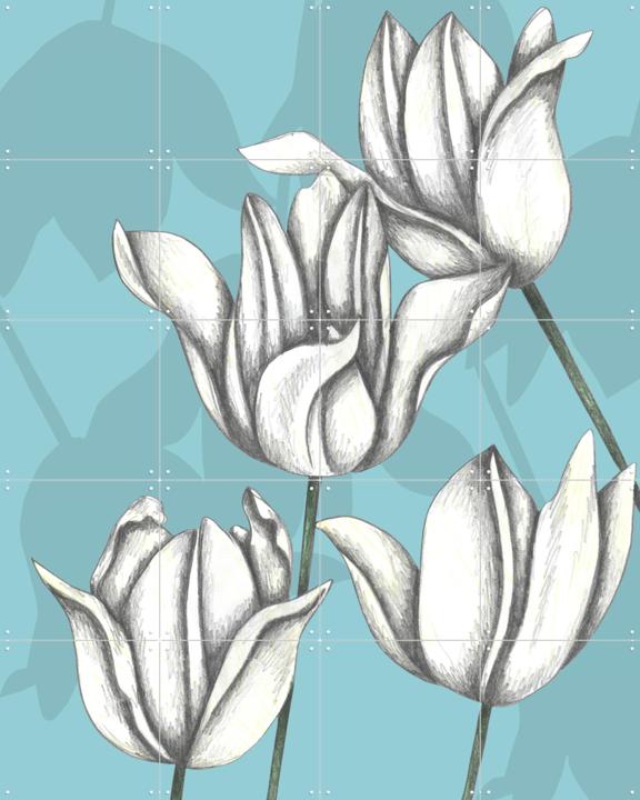 White Tulips