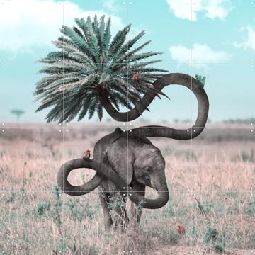 'Diversity' van Julien Tabet