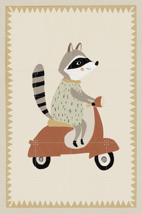 Driving Raccoon