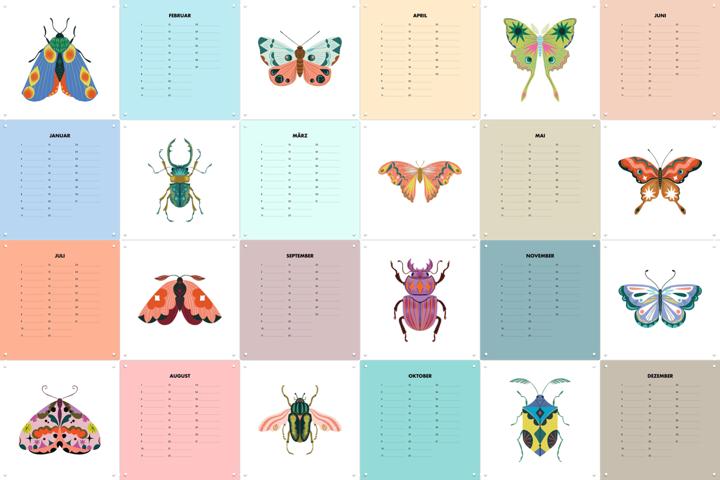 Bugs & Butterflies Calendar