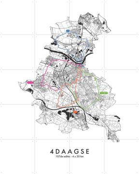 'De Nijmeegse 4Daagse 120km - 2025' by Art in Maps