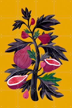 'Fig Tree' by Flaming Garden