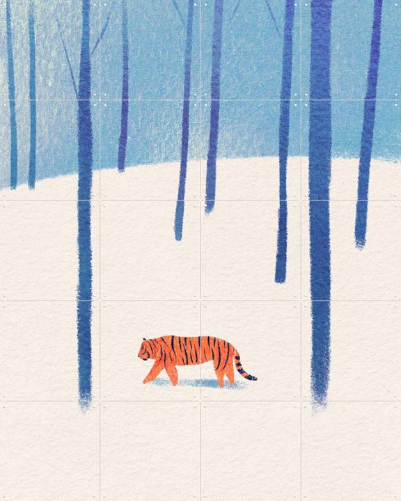 Tiger In The Snow