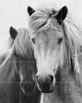 'Print 180 Horses' von Lila + Lola