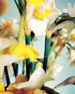 'Primavera' par Angelo Cerantola