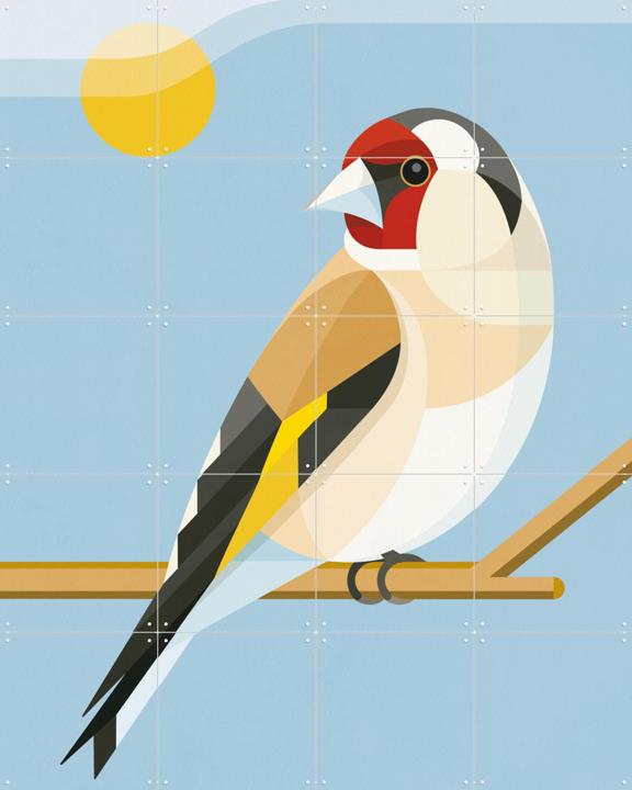 Goldfinch