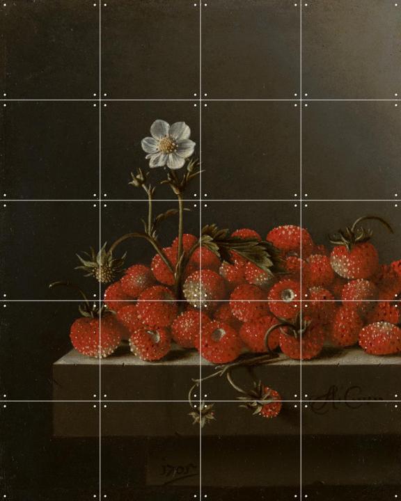 Stilleven met bosaardbeien