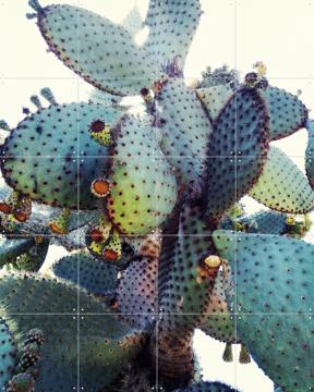 'Cuddles' von Angelo Cerantola