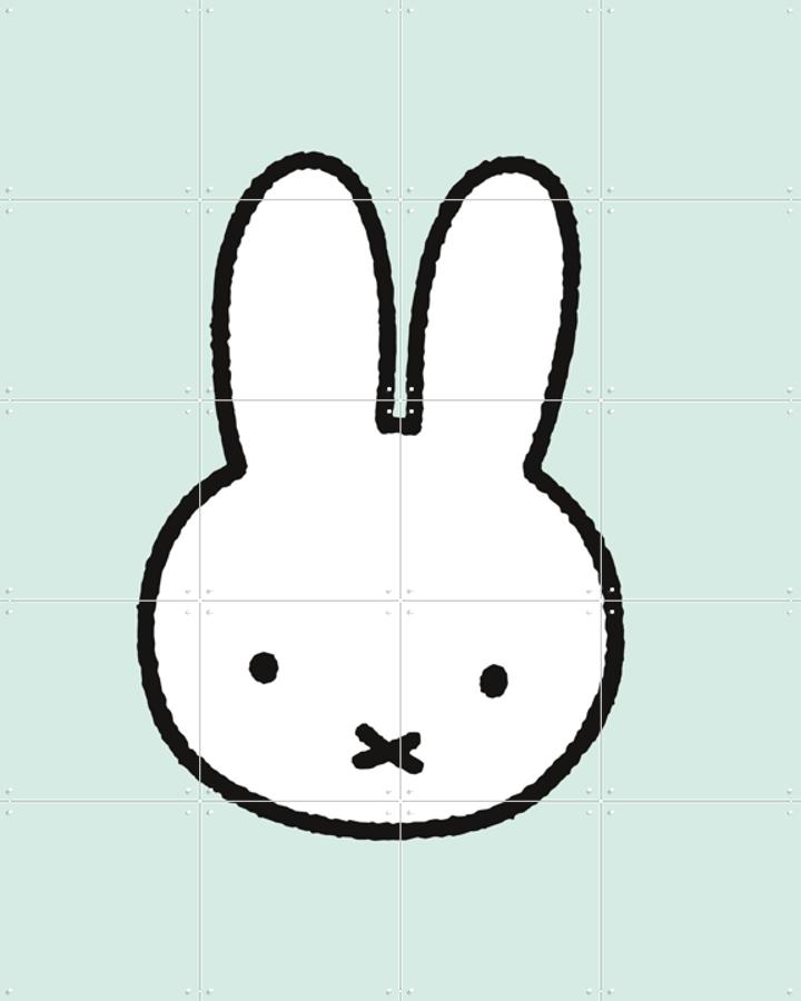 Hello Miffy green, by Miffy - IXXI