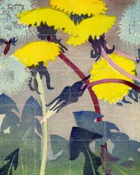 'Dandelions' by Mabel Royds & British Museum