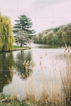 'Tranquil Lake' van Pati Photography