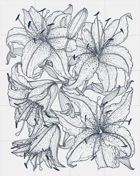 'Lilies Grey' van Geertje Aalders