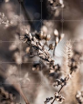 'Unknown 3' von Mareike Böhmer