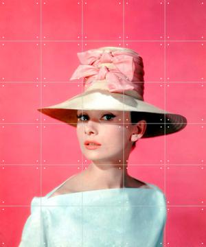 'Audrey Hepburn Funny Face' van Stanley Donen & Bridgeman Images