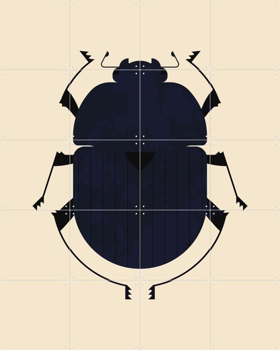 The Dung Beetle