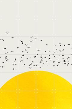 IXXI - A Thousand Birds by Kubistika 