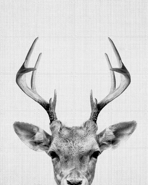 Print 38 Deer