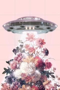 'UFO' van Paul Fuentes