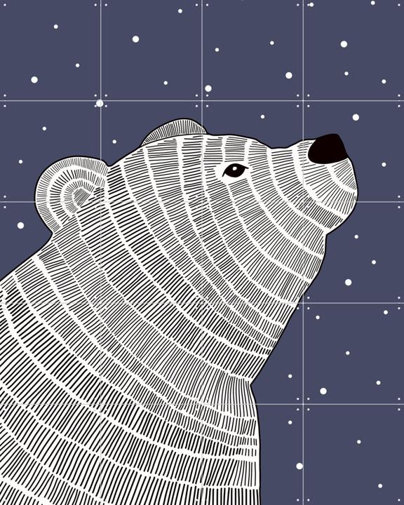 Bear and Stars