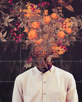 'Bloom' by Frank Moth