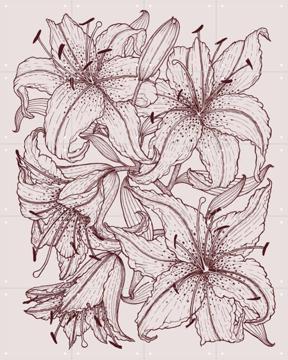 'Lilies Pink' van Geertje Aalders