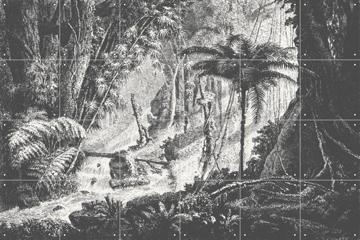 IXXI - Brazilian Jungle by Aster Edition 