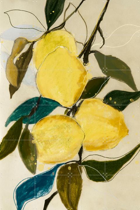 Lemon Study 1