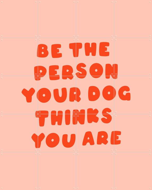 Dog's Favorite Person
