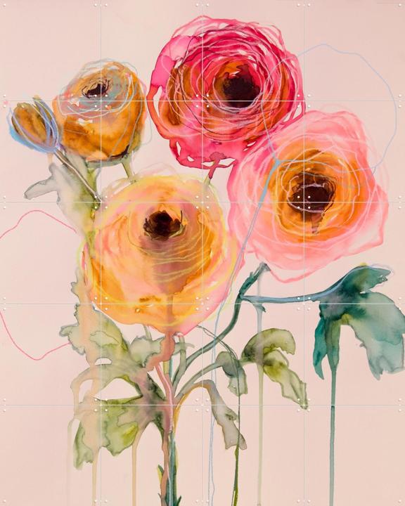 Ranunculus 06