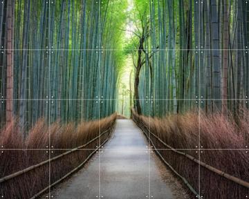 'Arashiyama bamboo grove, Kyoto, Japan' par Jan Becke