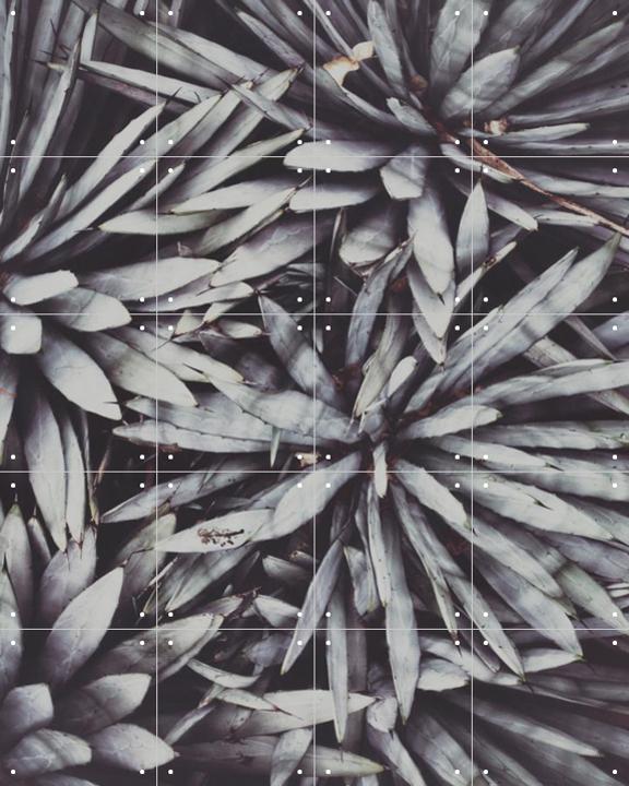 Polaroids From Saint Laurent 02