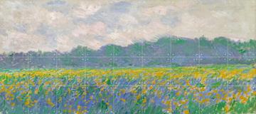 IXXI - Field of Yellow Irises - Giverny par Claude Monet & Bridgeman Images