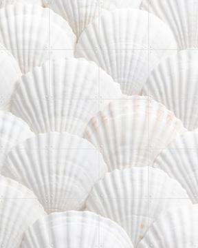 'Seashell Symphony' van 1x Studio II