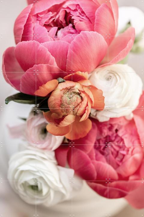Spring Flowers