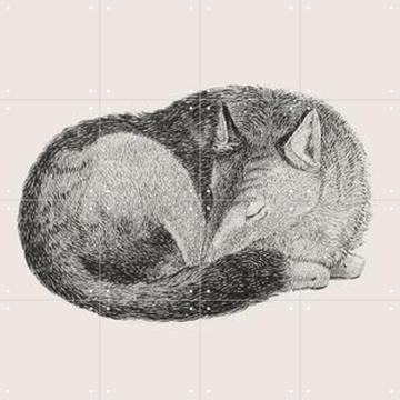 'Sleeping Fox light' par IXXI