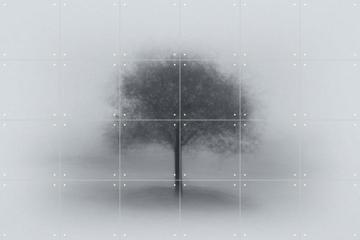 'Tree in Fog' von Aidong Ning & 1X