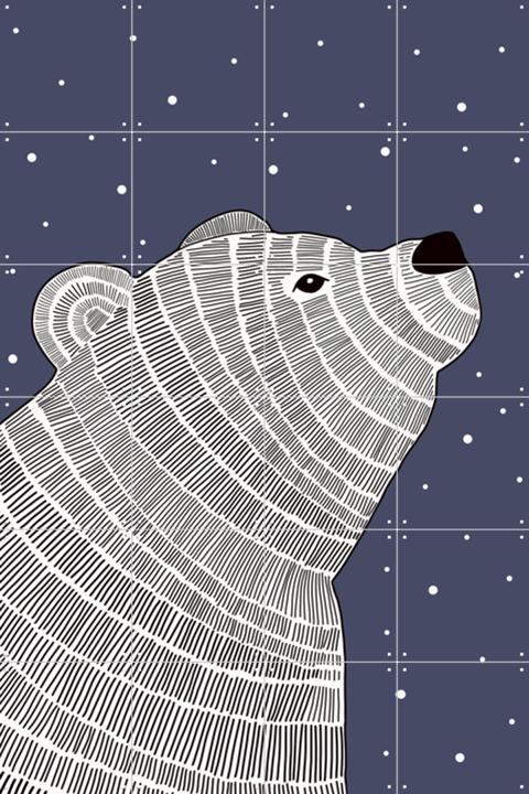 Bear and Stars