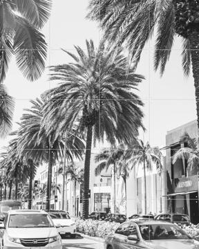 'Rodeo Drive' by Pati Photography