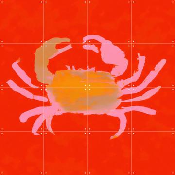 'Crabby Paddy' van Interiorisla