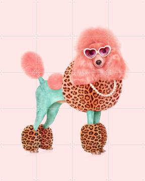 'Funky Poodle' by Paul Fuentes