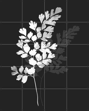 'Watercolor Leaves 14' von Mareike Böhmer