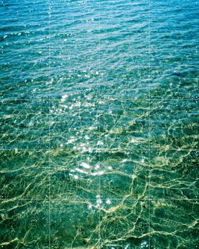 'Fresh Blue' van Angelo Cerantola