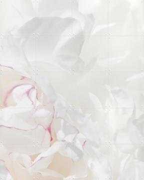 'Peony 21' van 1x Studio II