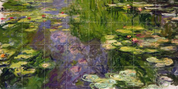 Waterlilies purple