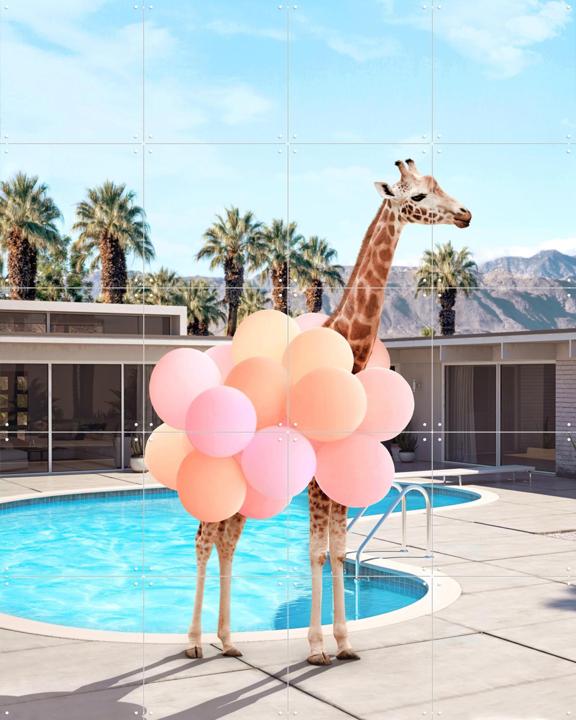 Giraffe Palm Springs