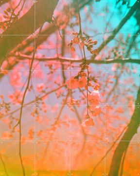 'Corrective Experience' by Amber Lauder